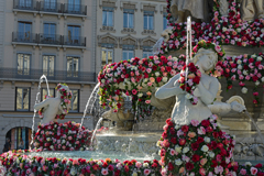 Cliquez sur la vignette pour l'agrandir